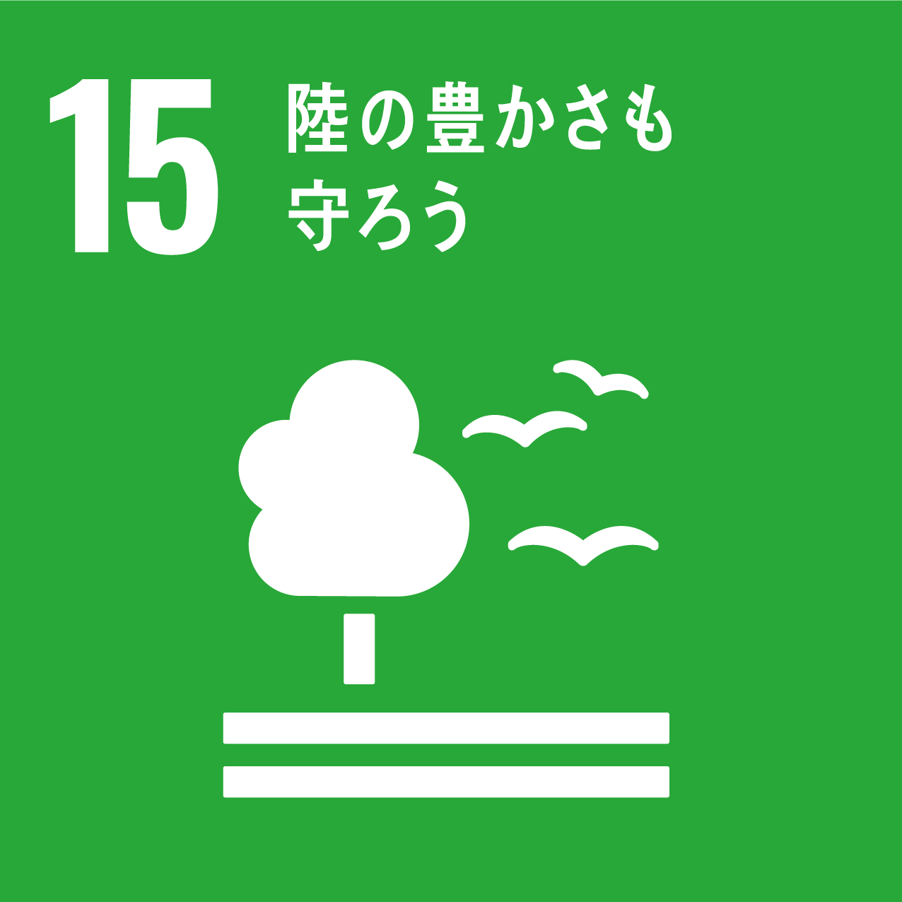 15アイコン